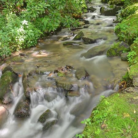 Panther Creek Cabins Cherokee Zewnętrze zdjęcie