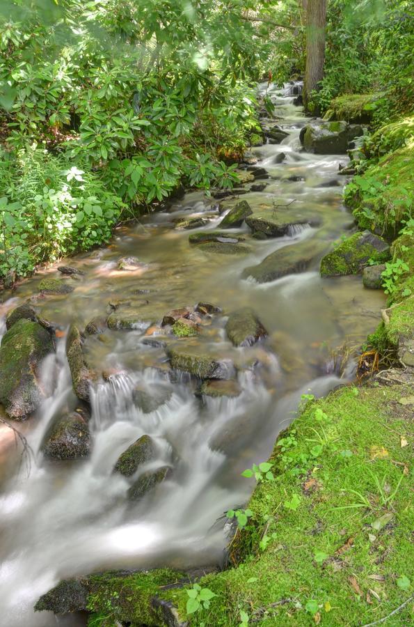 Panther Creek Cabins Cherokee Zewnętrze zdjęcie